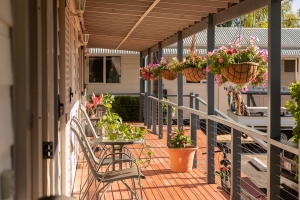 Room Patio